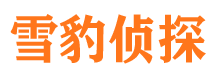 远安侦探公司